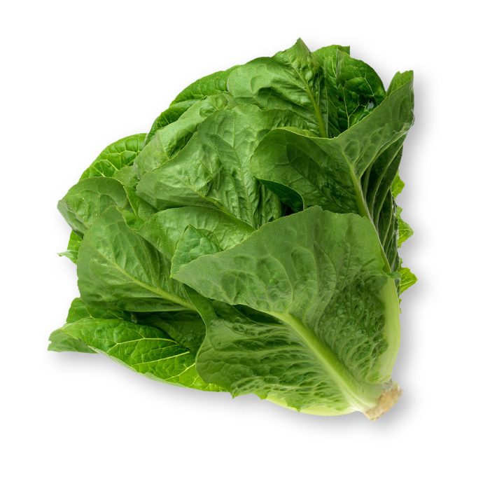 Nutrition facts for romaine lettuce