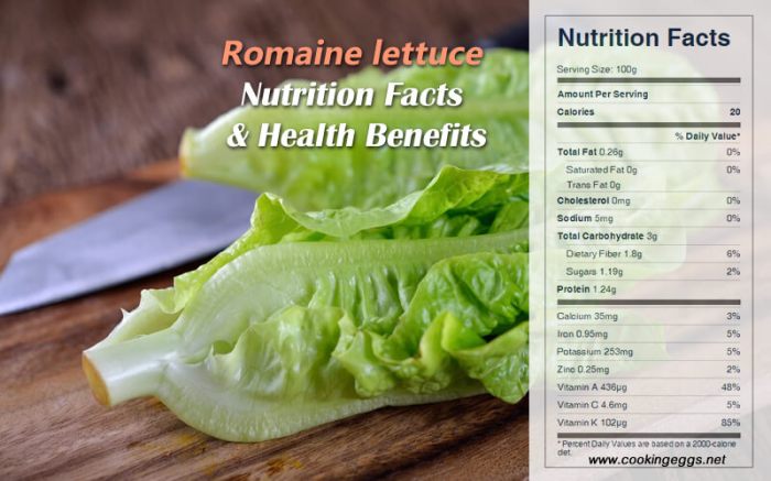 Nutrition facts for romaine lettuce