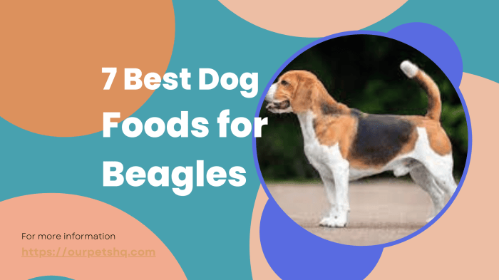 Beagles nutrition facts food